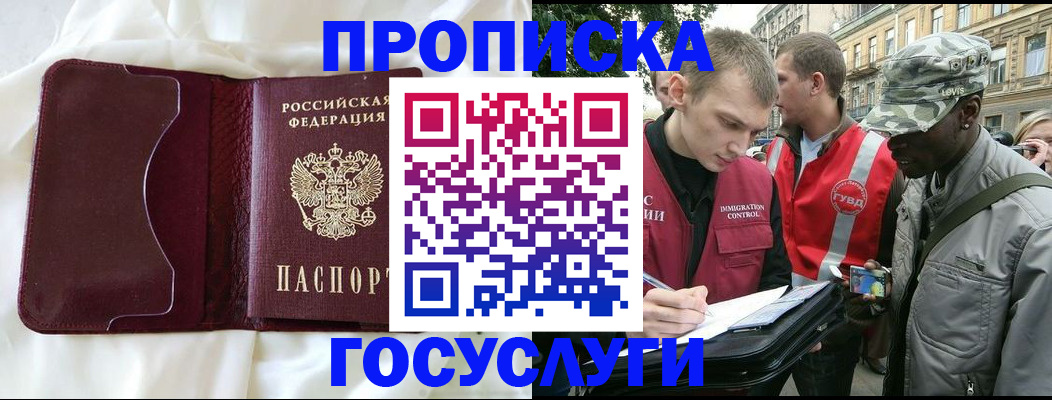 прописка законно в Светлограде